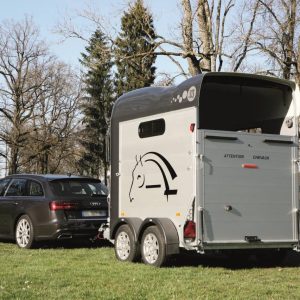 Van Cheval liberté Gold 3 luxe 2 places